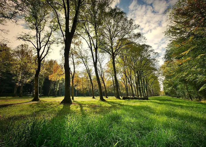 Monteurwohnung Messewohnung Sued Grenze Duesseldorf 6 Personen Lejlighed
